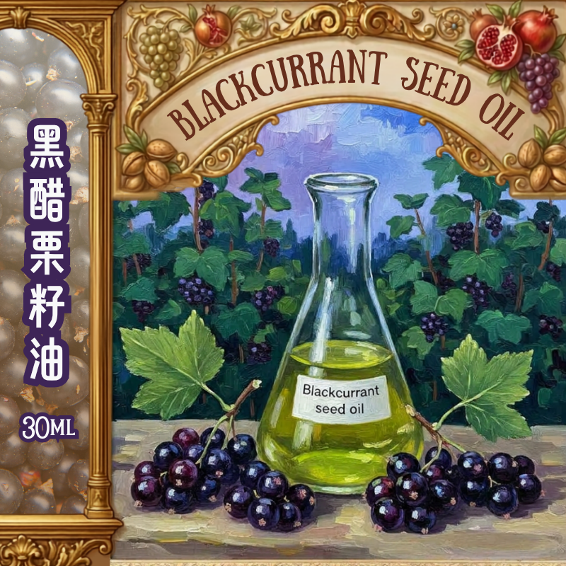 黑醋栗籽油 Blackcurrant Seed Oil 30ml (預售：約15-25工作天寄出）