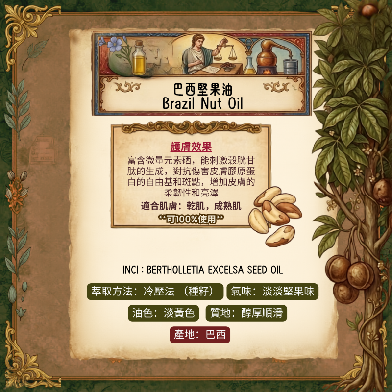 巴西堅果油 Brazil Nut Oil - 30ml (預售：約15-25工作天寄出）